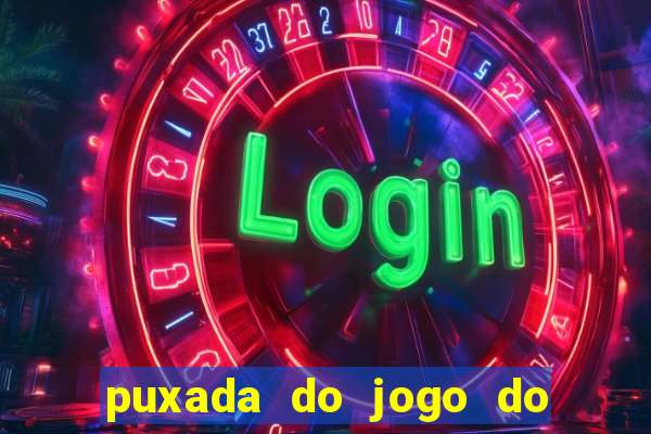 puxada do jogo do bicho da sueli